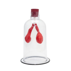 Mode Lung In Bell Jar